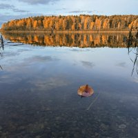 Осень в зеркале воды. :: Сергей Адигамов Осень в зеркале воды. :: Сергей Адигамов