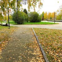 Осень в городе :: Лариса С.