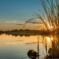 Природный парк Волго-Ахтубинская пойма. :: Дина Евсеева