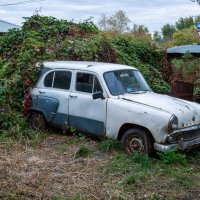 Раритет :: Владимир Иванович Раритет :: Владимир Иванович