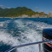 ... :: Жора Житников