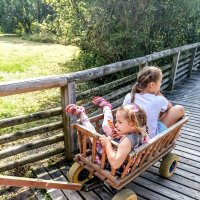 Прогулка по зоопарку ) :: Veera V Прогулка по зоопарку ) :: Veera V