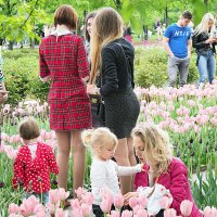 цветы и девчонки :: Олег Лукьянов