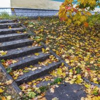 Осенние зарисовки :: Валерий Иванович Осенние зарисовки :: Валерий Иванович
