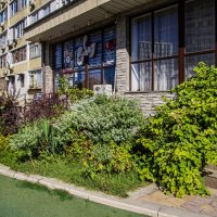 Дворик :: Анатолий Чикчирный