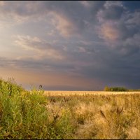 Осень :: **** vedin