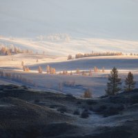 Из света в тень :: Sergey38 