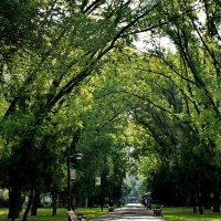 В парке... :: Николай Саржанов