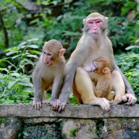 под надежной защитой... :: Andrey Bragin 