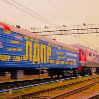 ** :: Сергей Кочнев