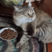 Каждый день одно и то же... :: Наталья 