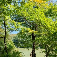 Министерские озёра :: Tata Wolf Министерские озёра :: Tata Wolf