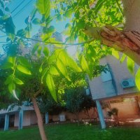 13  ОПЕН (470) :: OPEN WAYS ALL