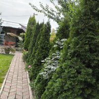 Курск. В саду у дома :: Ирэн 