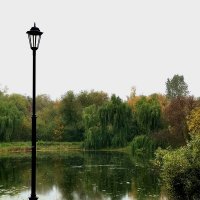 *** :: Любимова Ольга 