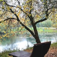 *** :: Любимова Ольга 