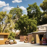 Двор винокурни. :: Argaman Табашник