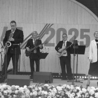 Поёт Светлана Дементьева :: Дмитрий Никитин