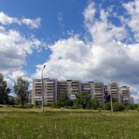 Человейник... :: Николай Гирш Человейник... :: Николай Гирш