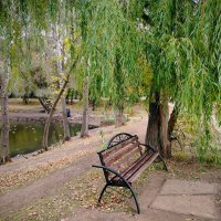 Самара :: Надежда 