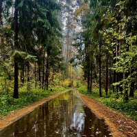 В дождь :: Натали Королева В дождь :: Натали Королева