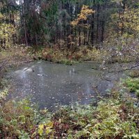 Аленушкин пруд :: Александр Чеботарь Аленушкин пруд :: Александр Чеботарь