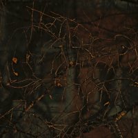 Осенние узоры :: Сергей Сергеев