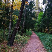 Осенние тропинки :: Андрей Лукьянов Осенние тропинки :: Андрей Лукьянов