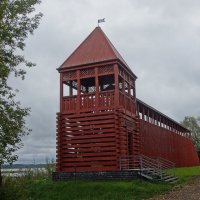 Лисья башня :: Лидия Бусурина