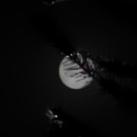 Ночь :: Андрей 