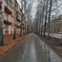 Морской проспект :: николай 