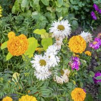 Октябрята :: Валерий Иванович Октябрята :: Валерий Иванович