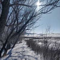 Февральское Солнце :: Андрей Хлопонин