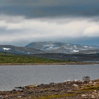 Norway 5 :: Arturs Ancans