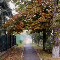 Люблю осенние туманы, в них грусти лёгкая печаль... :: Татьяна Смоляниченко Люблю осенние туманы, в них грусти лёгкая печаль... :: Татьяна Смоляниченко