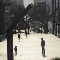 на приближении :: Елена Шаламова