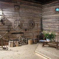 Каретник :: Александр Ильчевский 