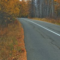 Сухой асфальт :: Мишель71 