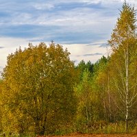 В начале осени :: Светлана В начале осени :: Светлана