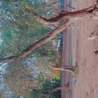 13  ОПЕН (474) :: OPEN WAYS ALL