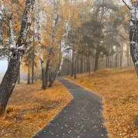 Туманная дорожка осени. :: Сергей Адигамов