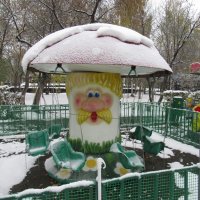 Грибная карусель :: Андрей Макурин