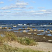 ****** :: ИННА ПОРОХОВА