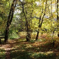 зарастающий скверик. :: Наталья Лунева 