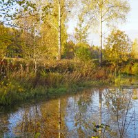 Осенние краски :: Сергей Ц