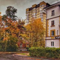 **** :: Алексей Архипов