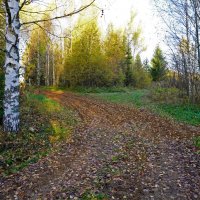 Осенняя дорожка :: Сергей Ц