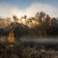 Осеннее утро :: Ирина 