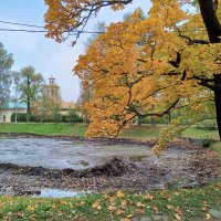 Осень :: Сапсан 