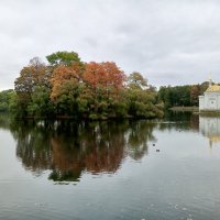 Осень :: Сапсан 